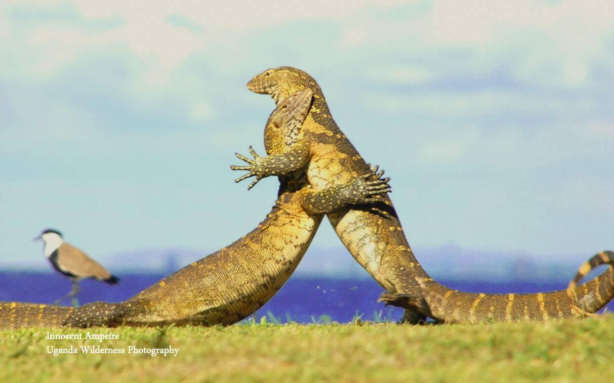 Happy International day for Biological Diversity 2017