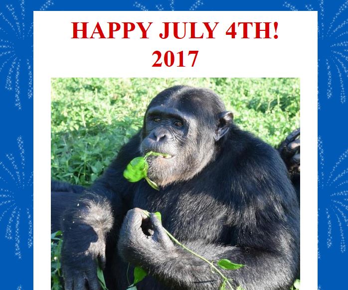 Happy 4th July 2017