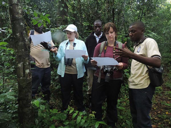 Happy International Day of Forests!