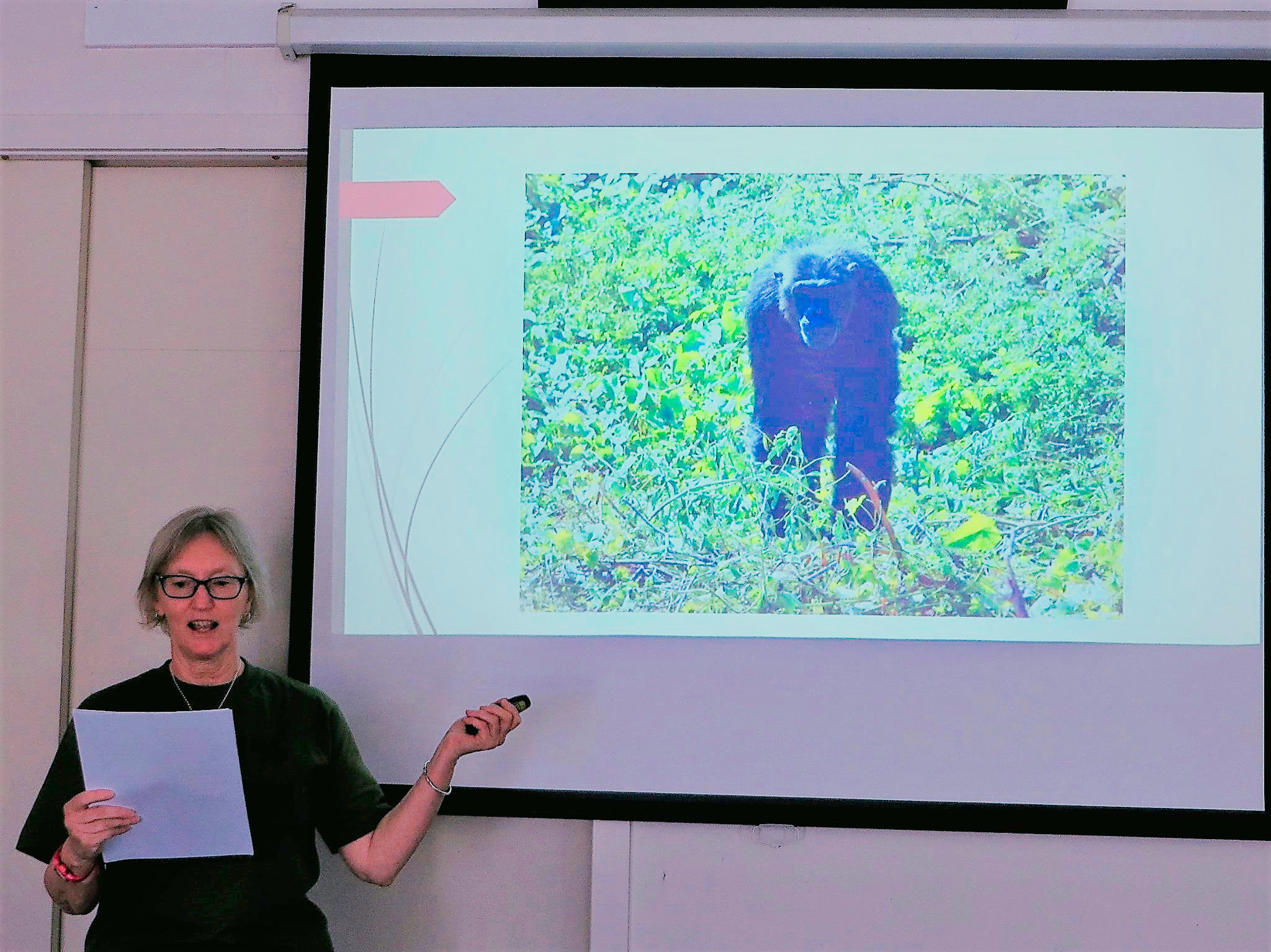 ALYSON BAKER’S TESTIMONY WITH NGAMBA CHIMPS
