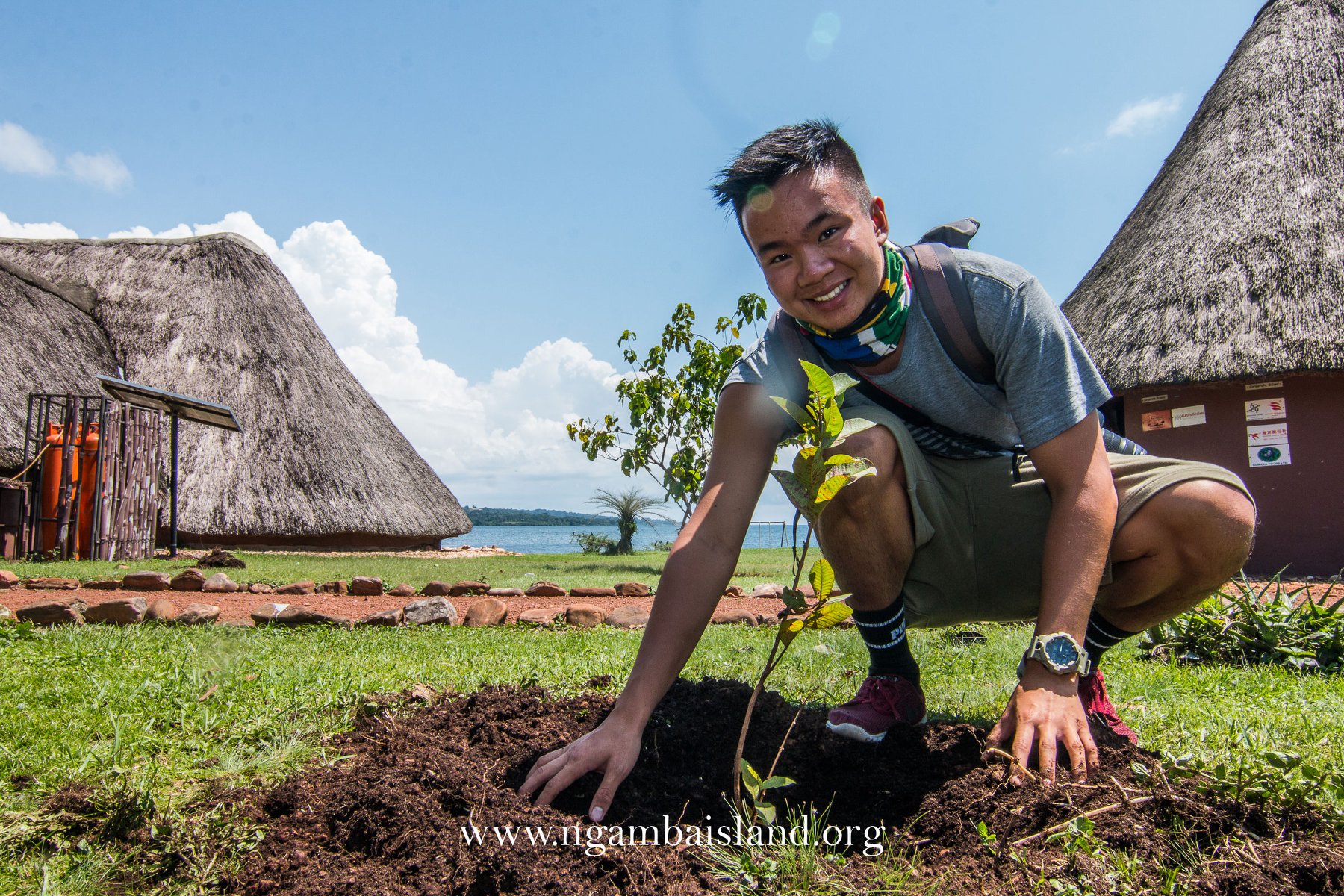 PLANT A TREE – SAVE THE CHIMPANZEE HABITAT