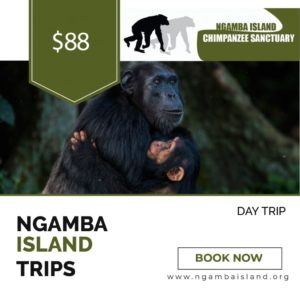 Day trips at Ngamba