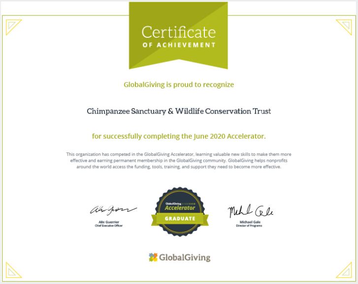 Chimpanzee Trust Becomes a Recognized Partner of GlobalGiving