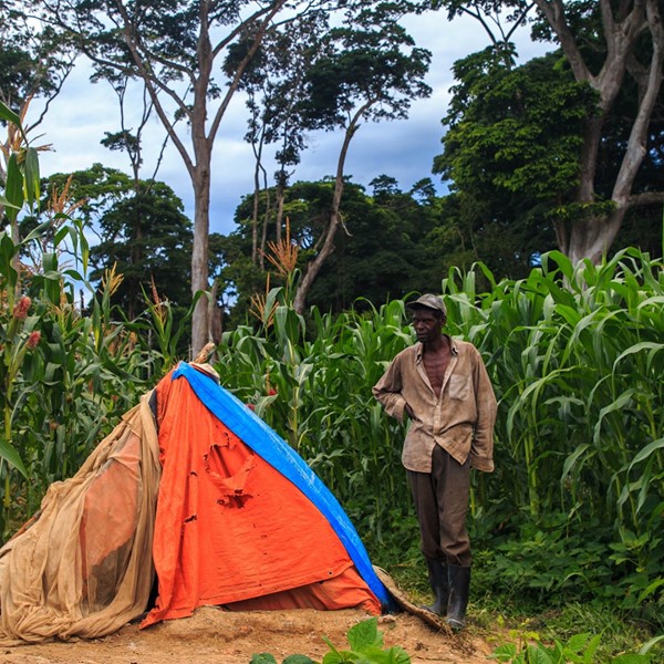 Addressing Human Wildlife Conflicts, as a strategy to conserve Chimpanzees.