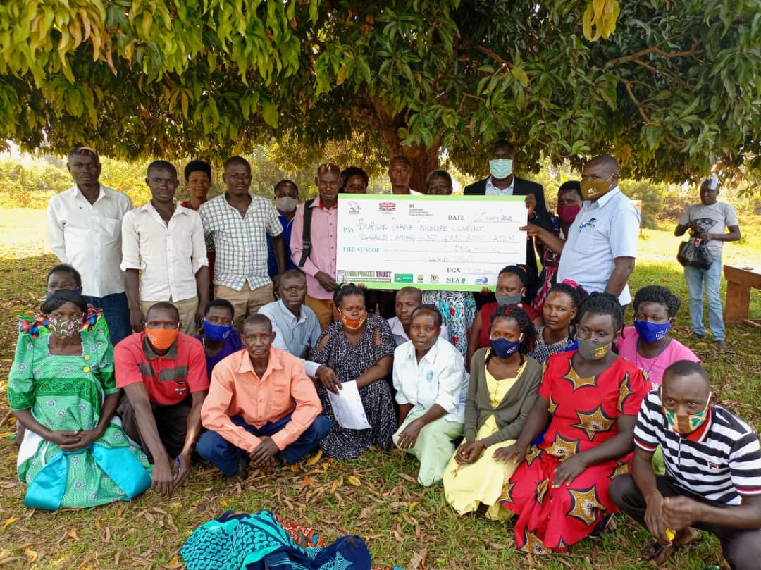 Resilience Fund for Associations