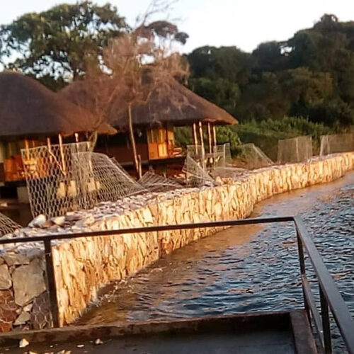 Ngamba Island gets Gabions