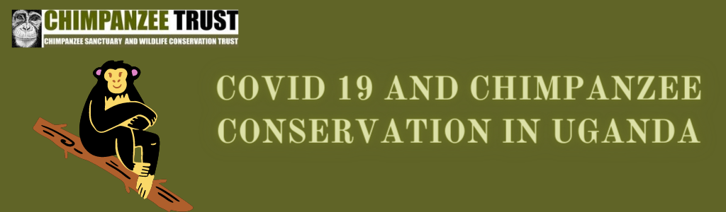 COVID-19 and chimpanzee conservation in Uganda