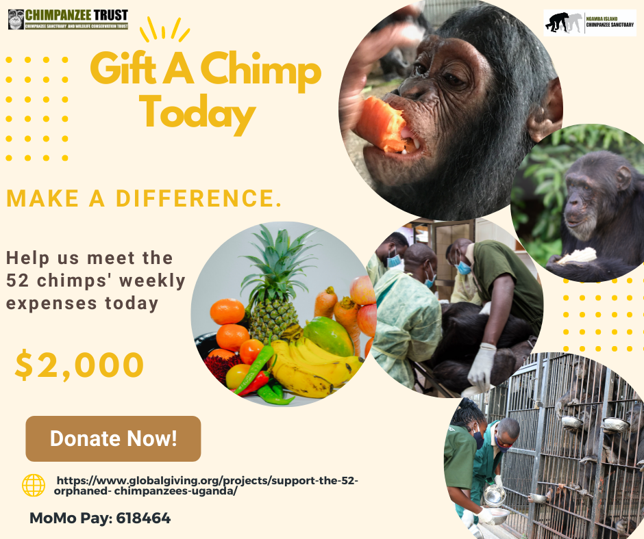 gift a chimp campaign