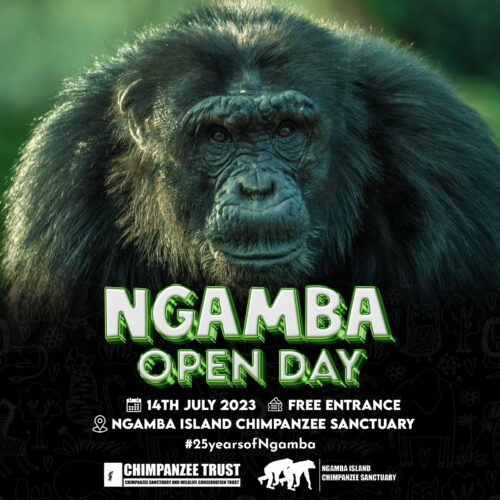 Ngamba Island open day