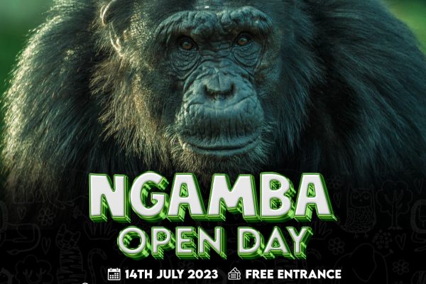 Ngamba Island open day