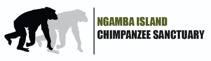 Ngamba Island Chimpanzee Sanctuary