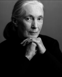 a close-up of a woman