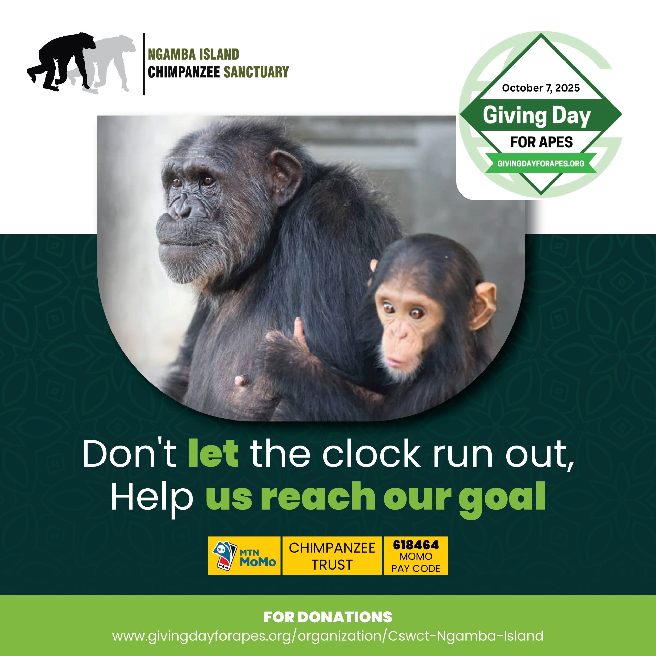 Just a few Hours Left to Support Ngamba Island!